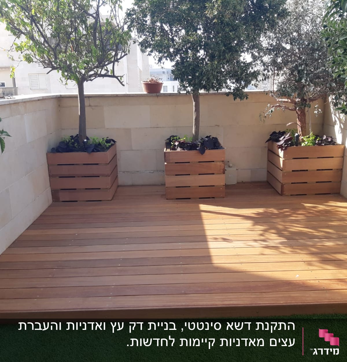 עצים בעציצים מעץ על דק עץ בגינה